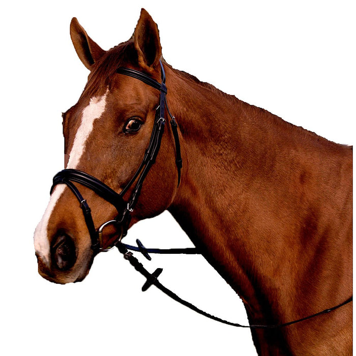 Pro-Trainer Padded Crank Bridle with Flash - Black