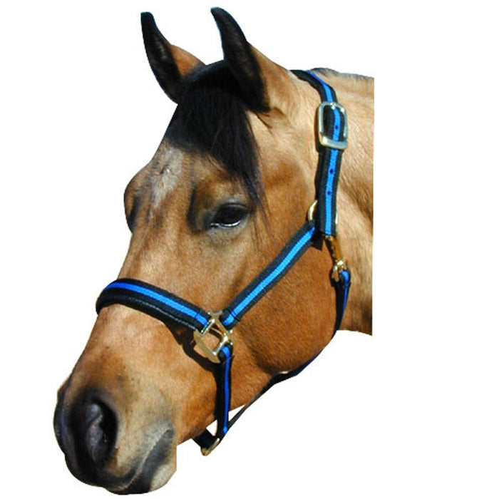 1" Padded Striped Halter (Discontinued)