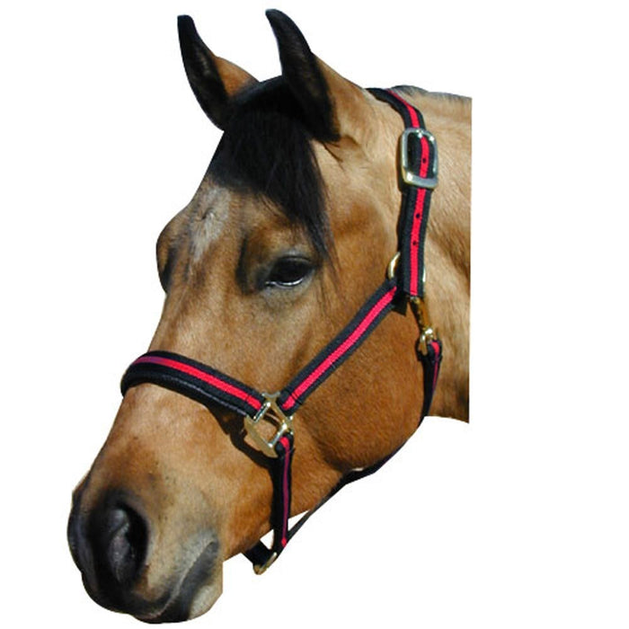 1" Padded Striped Halter (Discontinued)