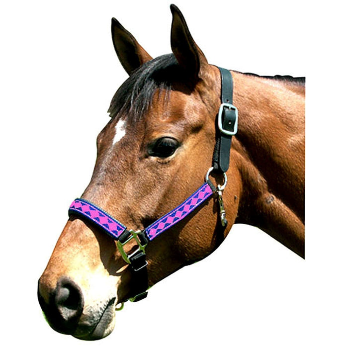 1" Diamond Web Halter with Leather Crown (Discontinued)
