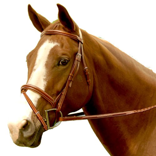 Exselle Fancy Stitched High Raised Padded Bridle