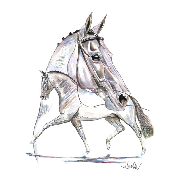 Hengsttraum (Dressage) Horse 19.75" X 27.5" Print
