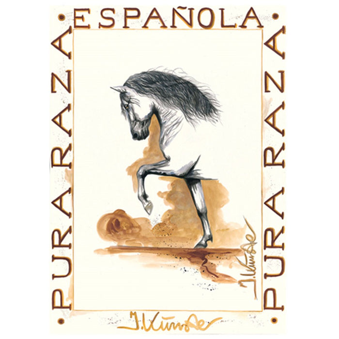 Flamenco Andalusian Horse 19.75" X 27.5" Print