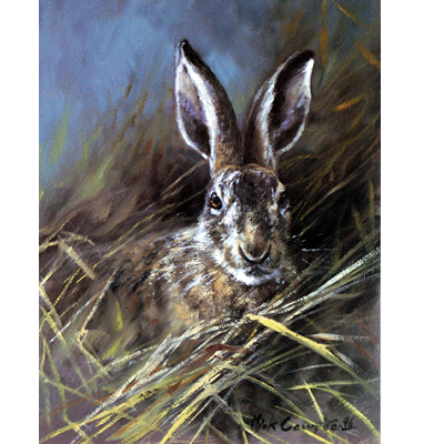 Head Of A Hare Print