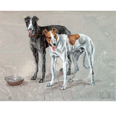 Greyhounds Print