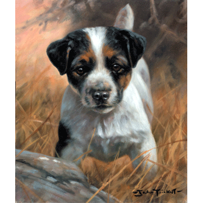 Jack Russell Pup Print