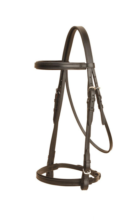 Tory Leather Padded Bridle with Buckle Bit Ends (Without Reins)